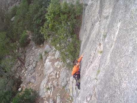 Muro de caimari