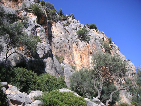 Puig de sa garrafa