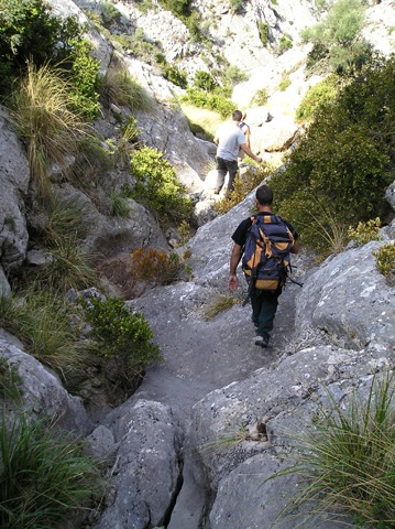 Torrent des Salt