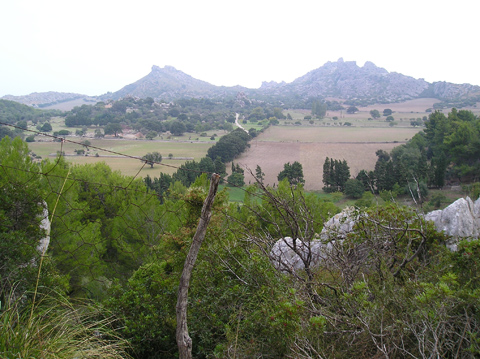 Vall de Ariant