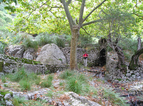 Font d la Mare de déu