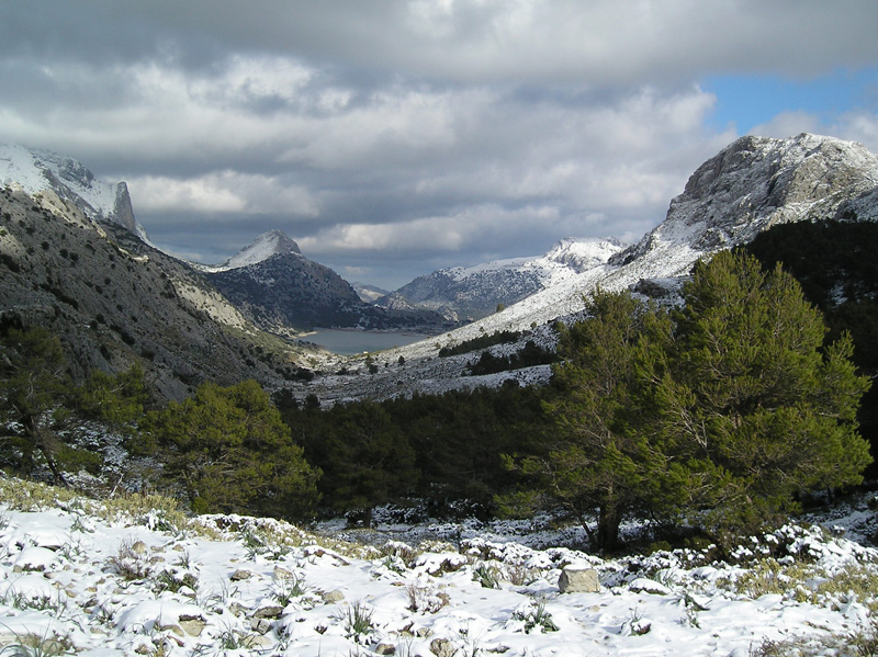 cuber nevado