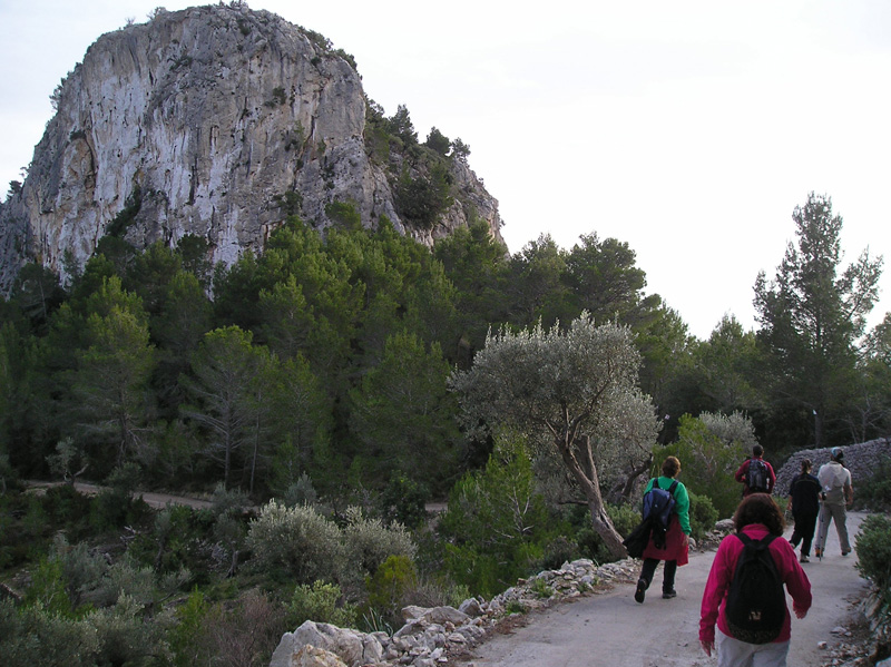 Penya de sa Bastida