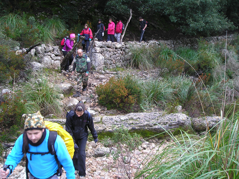 Torrente des Picarols