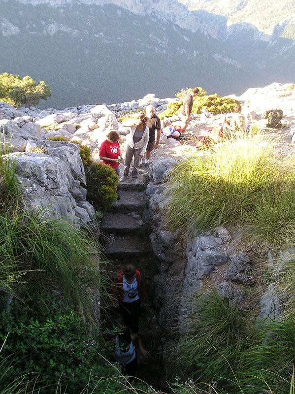 Font de s'avenc