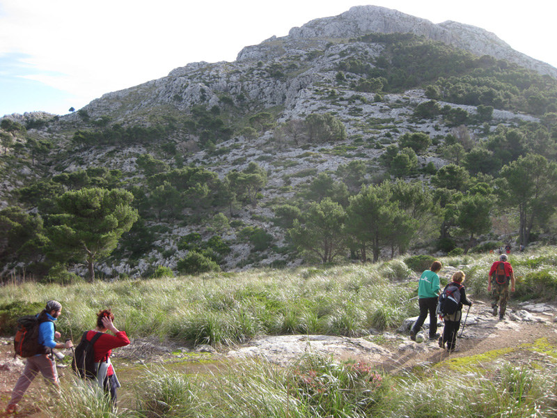 Galatzó