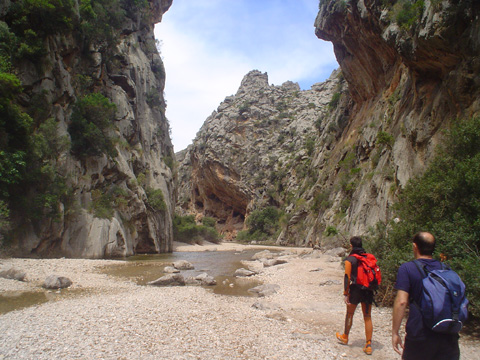 Torrente Pareis 08