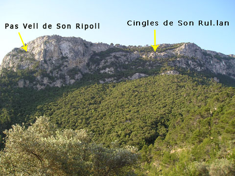 Pas Vell de Son Ripoll